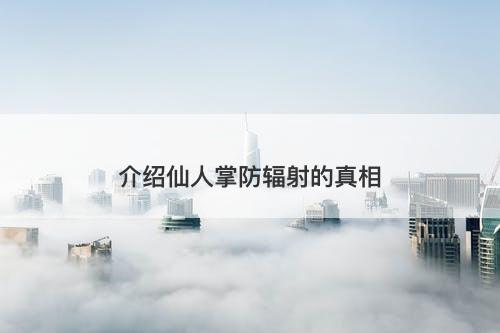 介绍仙人掌防辐射的真相