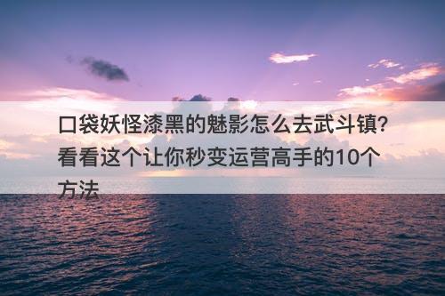 口袋妖怪漆黑的魅影怎么去武斗镇？看看这个让你秒变运营高手的10个方法