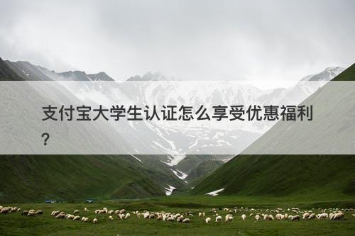 支付宝大学生认证怎么享受优惠福利？