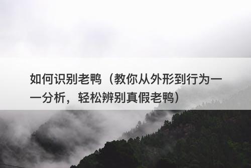如何识别老鸭（教你从外形到行为一一分析，轻松辨别真假老鸭）
