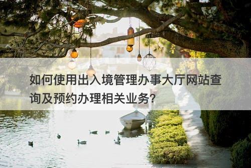 如何使用出入境管理办事大厅网站查询及预约办理相关业务？