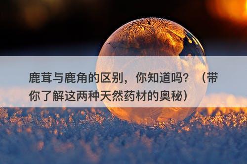 鹿茸与鹿角的区别，你知道吗？（带你了解这两种天然药材的奥秘）