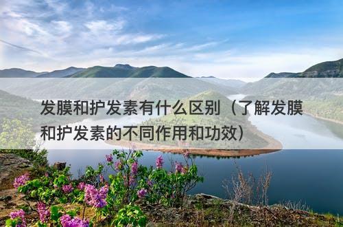 发膜和护发素有什么区别（了解发膜和护发素的不同作用和功效）