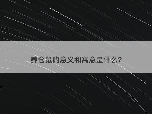 养仓鼠的意义和寓意是什么？