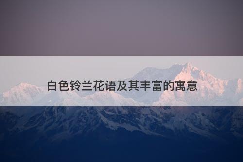 白色铃兰花语及其丰富的寓意