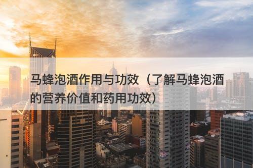 马蜂泡酒作用与功效（了解马蜂泡酒的营养价值和药用功效）