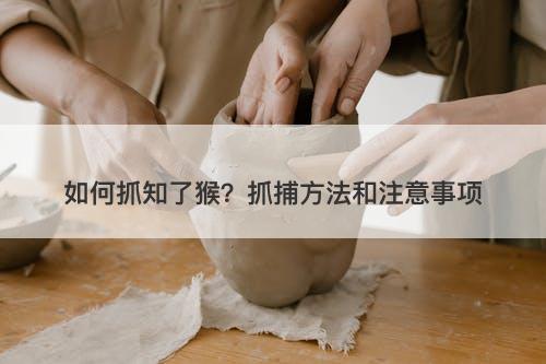 如何抓知了猴？抓捕方法和注意事项