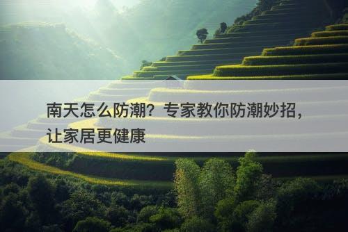 南天怎么防潮？专家教你防潮妙招，让家居更健康