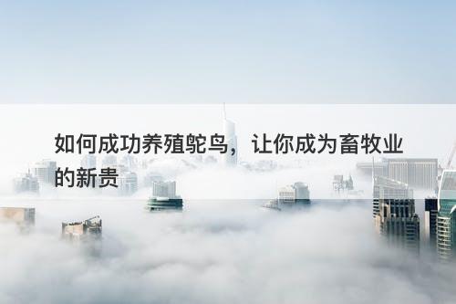 如何成功养殖鸵鸟，让你成为畜牧业的新贵