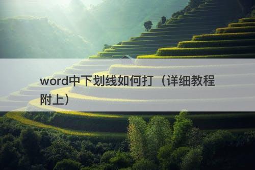 word中下划线如何打（详细教程附上）