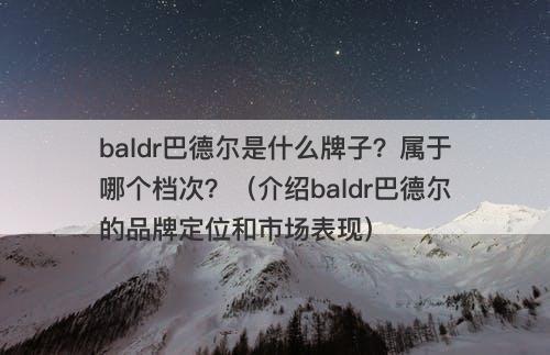 baldr巴德尔是什么牌子？属于哪个档次？（介绍baldr巴德尔的品牌定位和市场表现）