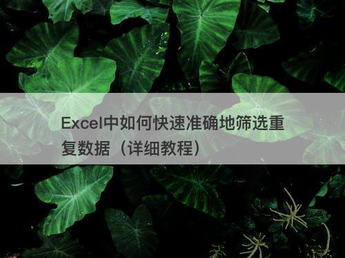 Excel中如何快速准确地筛选重复数据（详细教程）