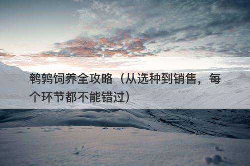 鹌鹑饲养全攻略（从选种到销售，每个环节都不能错过）-图1