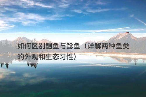 如何区别鮰鱼与鲶鱼（详解两种鱼类的外观和生态习性）