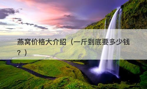 燕窝价格大介绍（一斤到底要多少钱？）