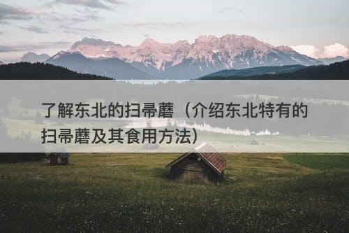 了解东北的扫帚蘑（介绍东北特有的扫帚蘑及其食用方法）