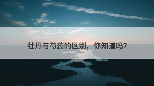 牡丹与芍药的区别，你知道吗？