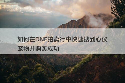 如何在DNF拍卖行中快速搜到心仪宠物并购买成功