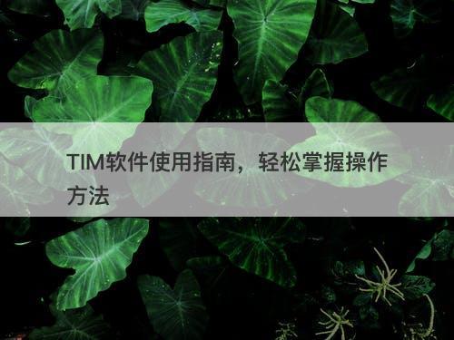 TIM软件使用指南，轻松掌握操作方法