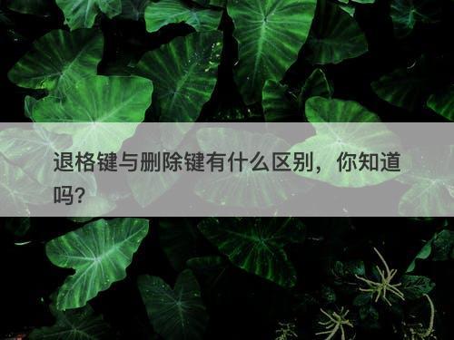 退格键与删除键有什么区别，你知道吗？-图1