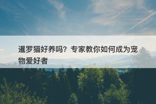 暹罗猫好养吗？专家教你如何成为宠物爱好者