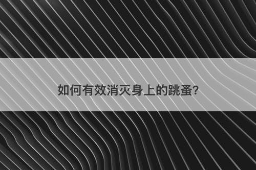 如何有效消灭身上的跳蚤？-图1