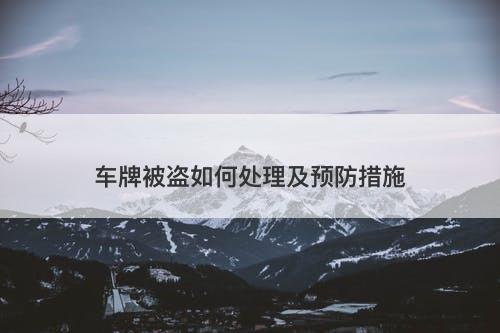 车牌被盗如何处理及预防措施-图1