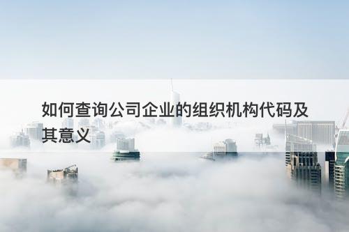 如何查询公司企业的组织机构代码及其意义