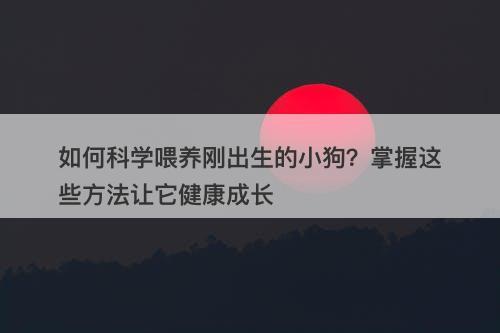 如何科学喂养刚出生的小狗？掌握这些方法让它健康成长-图1