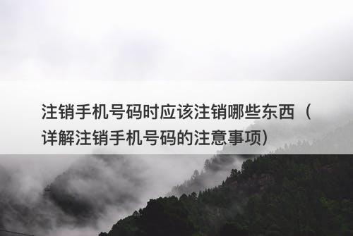 注销手机号码时应该注销哪些东西（详解注销手机号码的注意事项）