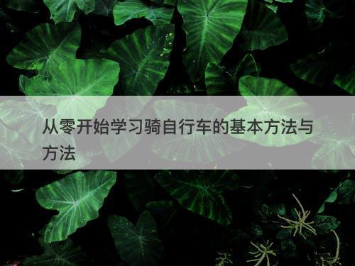 从零开始学习骑自行车的基本方法与方法