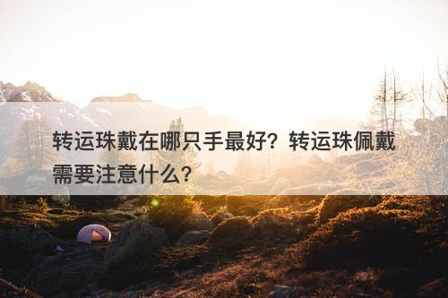 转运珠戴在哪只手最好?转运珠佩戴需要注意什么?-图1 转运珠戴在哪只手最好?转运珠佩戴需要注意什么?-图1