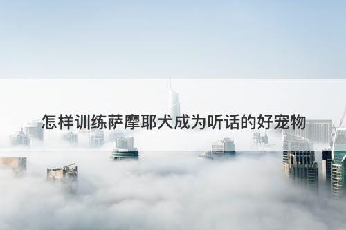 怎样训练萨摩耶犬成为听话的好宠物