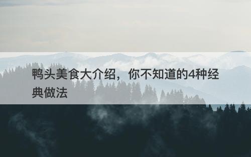 鸭头美食大介绍，你不知道的4种经典做法