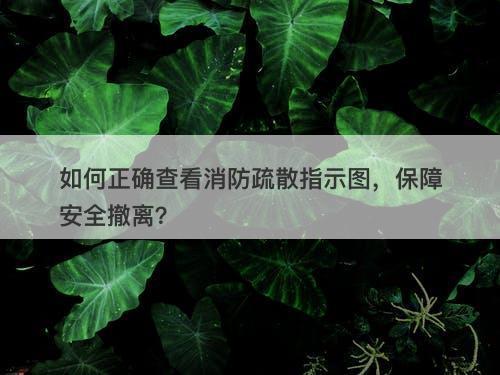 如何正确查看消防疏散指示图，保障安全撤离？