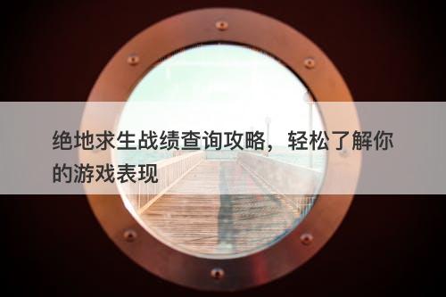 绝地求生战绩查询攻略，轻松了解你的游戏表现