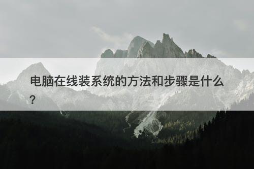 电脑在线装系统的方法和步骤是什么？