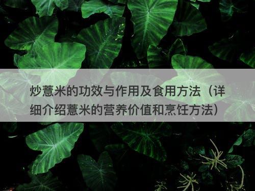 炒薏米的功效与作用及食用方法（详细介绍薏米的营养价值和烹饪方法）
