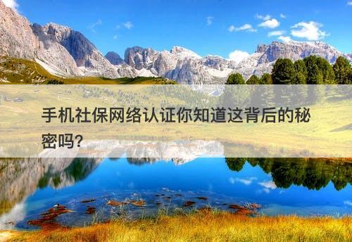 手机社保网络认证你知道这背后的秘密吗？-图1
