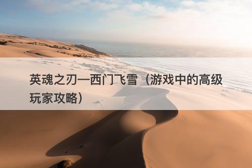 英魂之刃—西门飞雪（游戏中的高级玩家攻略）