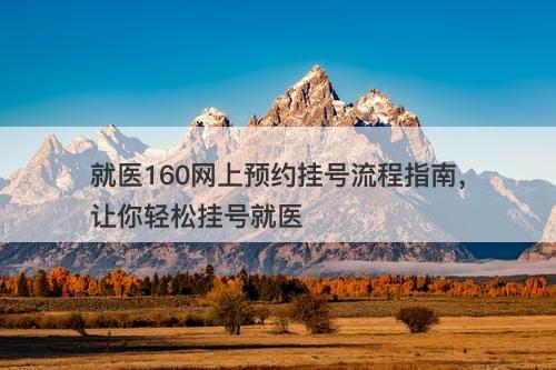 就医160网上预约挂号流程指南，让你轻松挂号就医