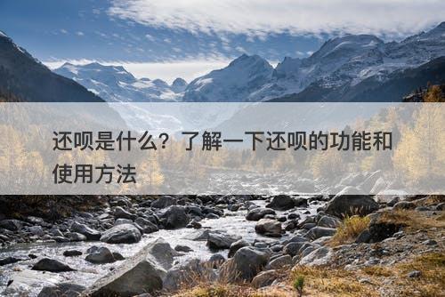 还呗是什么？了解一下还呗的功能和使用方法