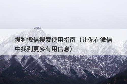 搜狗微信搜索使用指南（让你在微信中找到更多有用信息）