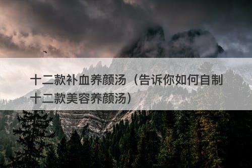 十二款补血养颜汤（告诉你如何自制十二款美容养颜汤）