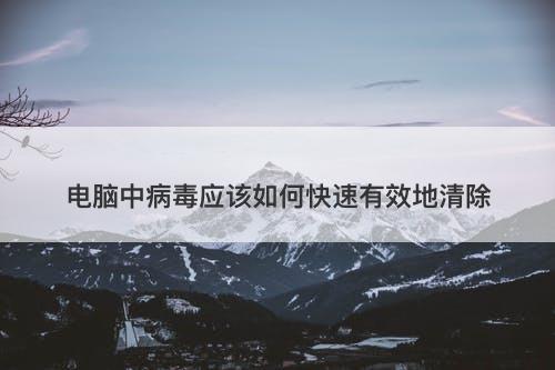 电脑中病毒应该如何快速有效地清除