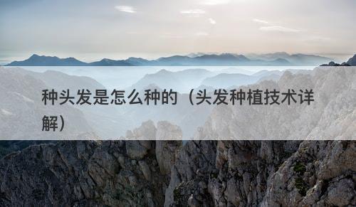 种头发是怎么种的（头发种植技术详解）