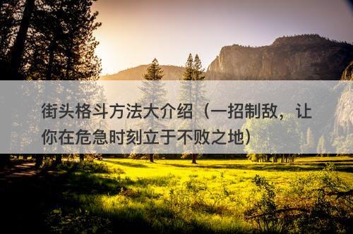 街头格斗方法大介绍(一招制敌,让你在危急时刻立于不败之地)-图1 街头格斗方法大介绍(一招制敌,让你在危急时刻立于不败之地)-图1