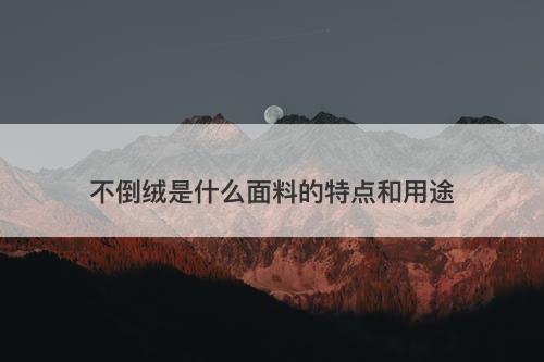 不倒绒是什么面料的特点和用途-图1