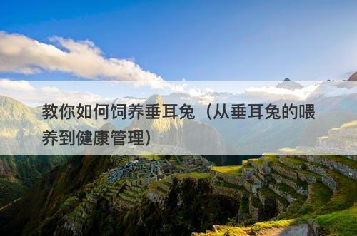 教你如何饲养垂耳兔（从垂耳兔的喂养到健康管理）