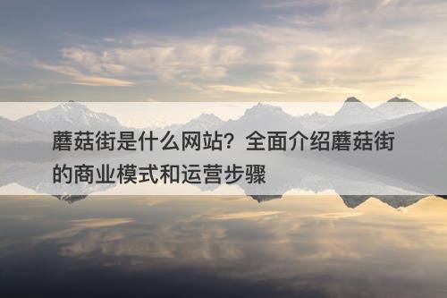 蘑菇街是什么网站？全面介绍蘑菇街的商业模式和运营步骤